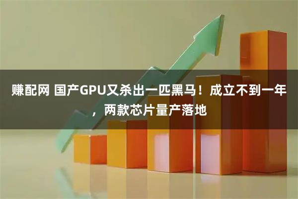 赚配网 国产GPU又杀出一匹黑马！成立不到一年，两款芯片量产落地