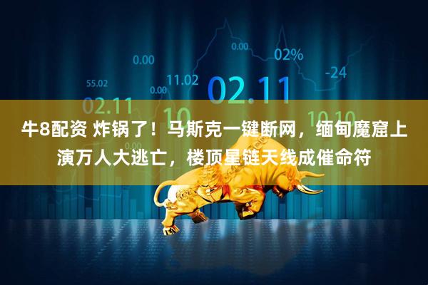 牛8配资 炸锅了！马斯克一键断网，缅甸魔窟上演万人大逃亡，楼顶星链天线成催命符